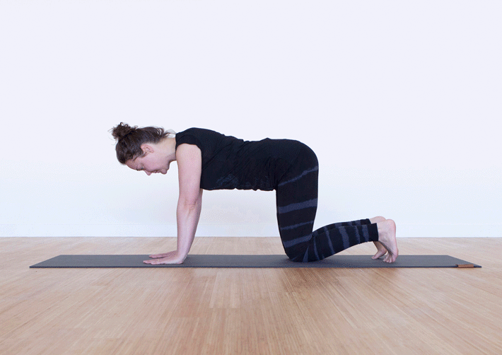 In beweging Omlaagkijkendehond_Moving